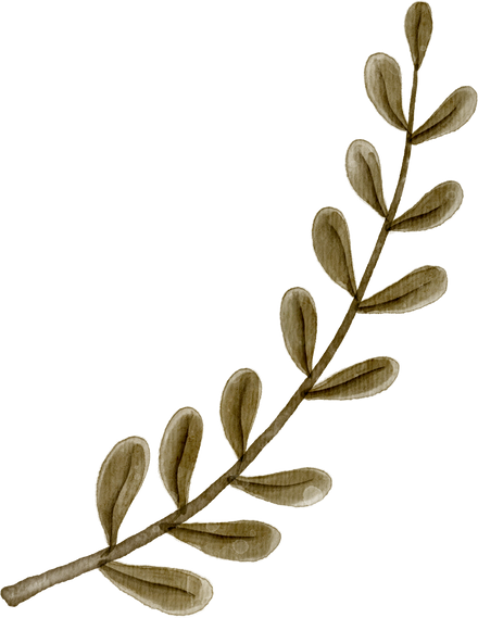 Watercolor Branch of Leaves