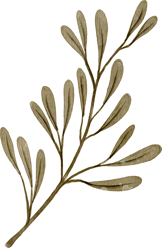 Watercolor Branch of Leaves
